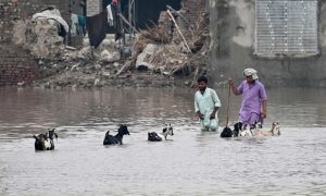 Floods canva 3