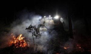 Deadly wildfire hits Greek island