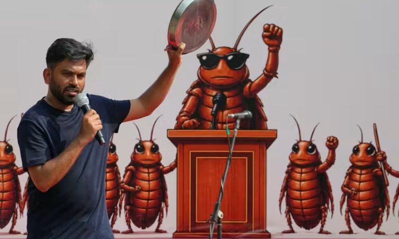Cockroach