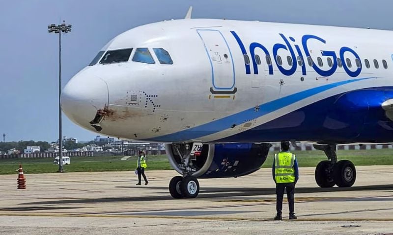Indigo