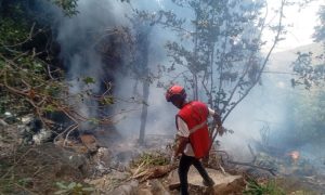 Ecuador intelligence Chief, Five Americans Killed in Kenya Tourist Helicopter Crash