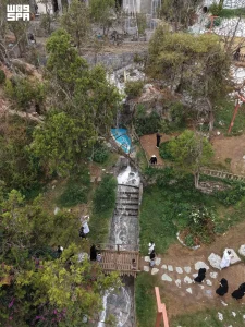 Waterfalls, Streams Boost Lavender Garden's Appeal in Saudi Arabia’s Al-Baha