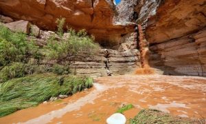 Canyon