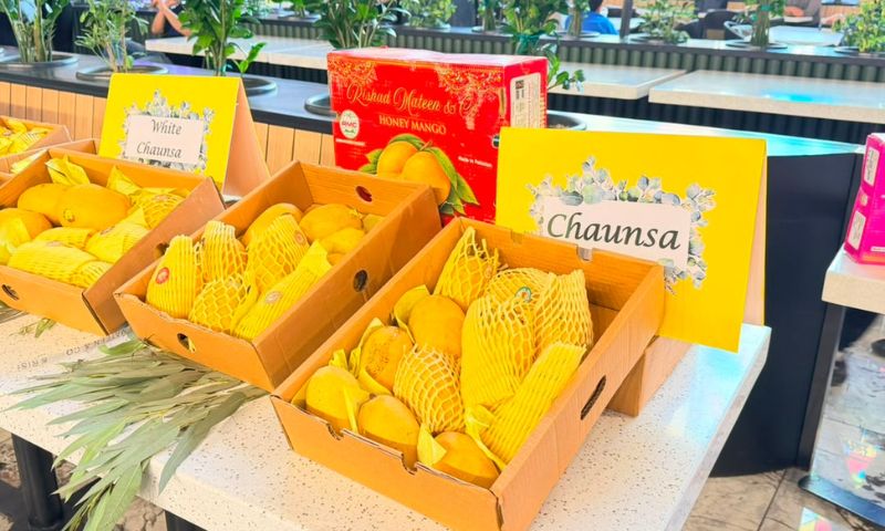 Pakistan Brings the King of Fruits to Tehran with First Mango Festival