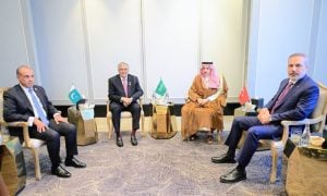 Pakistan, Egypt, Saudi Arabia, Turkiye Reaffirm Support for Independent Palestinian State