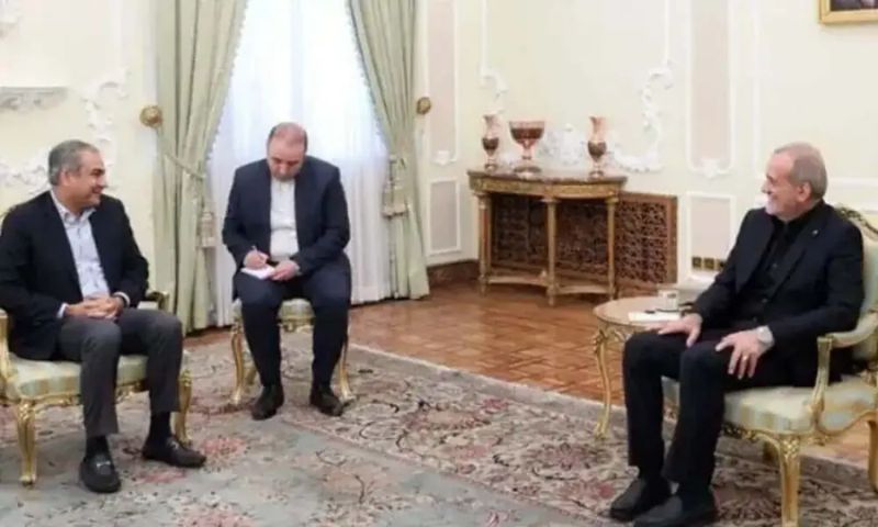 Pakistan's Interior Minister MMohsin Naqvi Meets Iranian President Masoud Pezeshkian