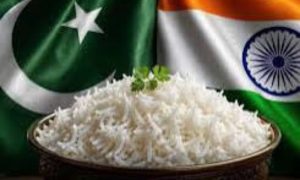 Pakistan rice canva