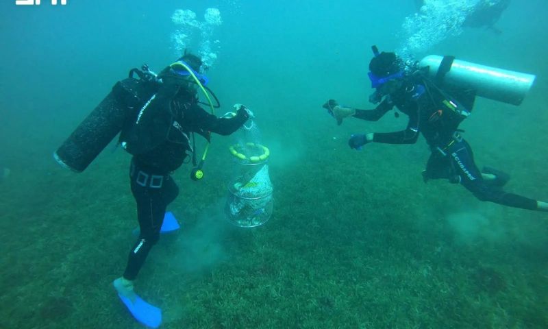Saudi Border Guard Launches Initiative to Clean Seabed in Tabuk Region