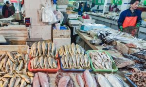 Seafood