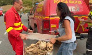 Bones of Medieval Kings Saved From Spanish Wildfire