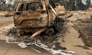 Wildfires Burn Hundreds of Homes in US Northwest City of Spokane