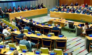 Pakistan Calls for Stronger, More Effective UN Peace Operations