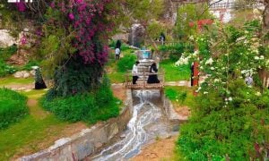 Waterfalls, Streams Boost Lavender Garden's Appeal in Saudi Arabia’s Al-Baha