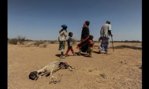 What a Record-Breaking El Nino Could Mean for the World