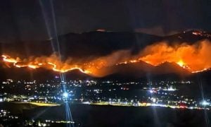 Wildfire