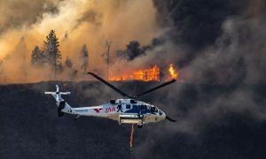 Wildfire