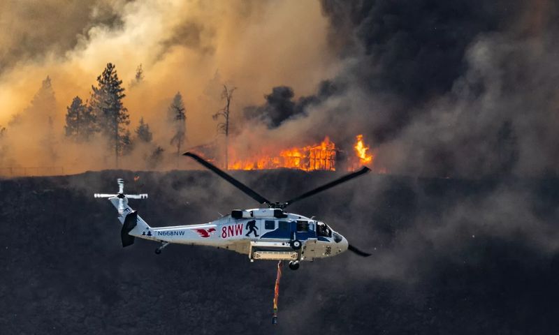 Wildfire