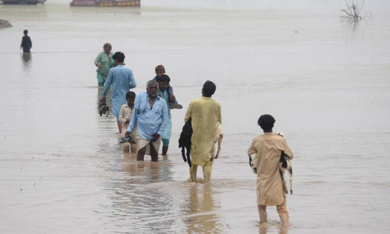floods canva 2