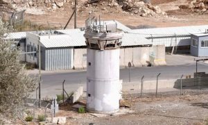 Israeli Court Halts Gov’t Plan to Place Crocodiles around Prison Holding Palestinians