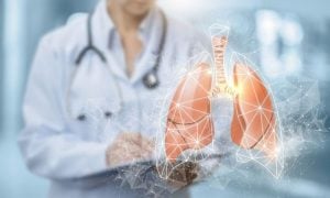 lung canva