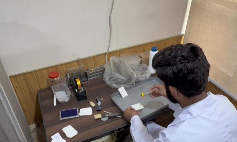 Nature’s Tiny Warriors Offer Pakistan Farmers an Alternative to Pesticides
