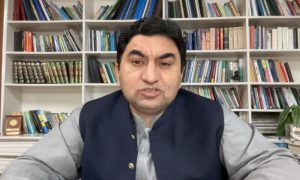Pakistan Strongly Condemns Houthi Attacks on Saudi Arabia and Will Offer All Possible Support for Saudi Defence: Security Expert