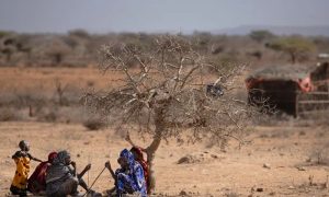 El Nino Could Cause 451,000 Extra Heat-Related Deaths Worldwide: Researchers
