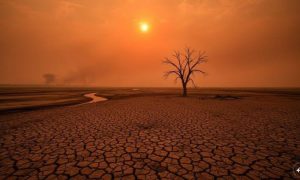 El Nino Could Cause 451,000 Extra Heat-Related Deaths Worldwide: Researchers