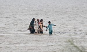 Flood 1 1