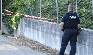 Thieves Steal Renoir Artworks Worth Millions from Museum in Southern France