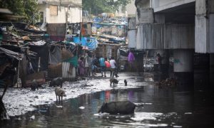 India 1 1