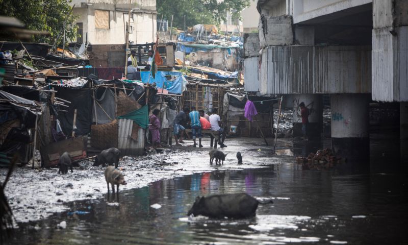 India 1 1