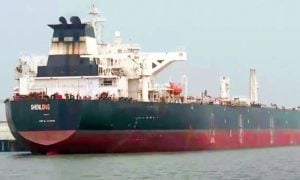 Oil