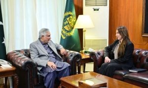 Pakistan Stresses Dialogue, Diplomacy for Lasting Regional Peace