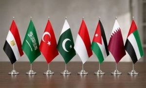 Eight Muslim Nations Welcome UK-Led Sanctions on Illegal Israeli Settlements in Occupied Palestinian Territory