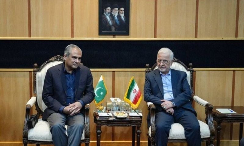 Pakistan's Interior Minister Discusses Middle East Situation with Iranian Counterpart