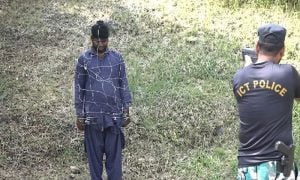 Net gun canva