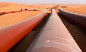 Oil