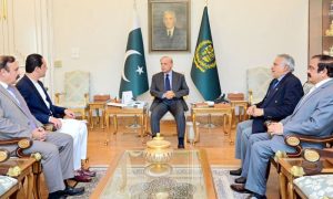 PM meets PM AJK canva