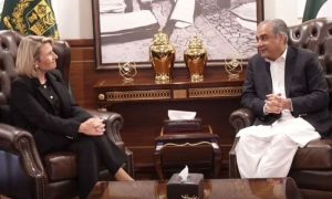 Illegal Migration from Pakistan to Europe Falls 64pc: Interior Minister