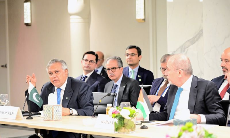 Muslim Nations Reject Forced Displacement of Palestinians