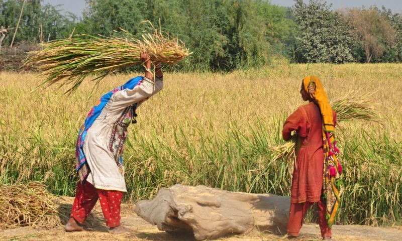 Pakistan