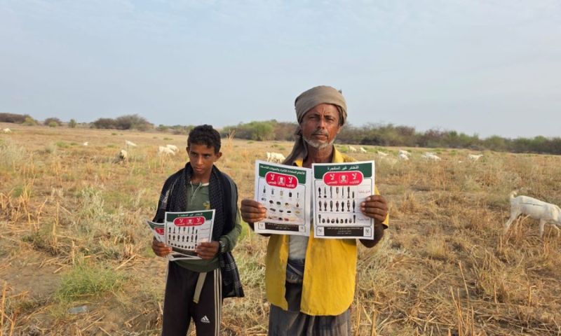 Saudi-Funded Project Clears 863 Explosive Devices in Yemen in One Week