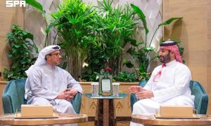 Saudi Crown Prince, UAE Vice President Discuss Regional Developments