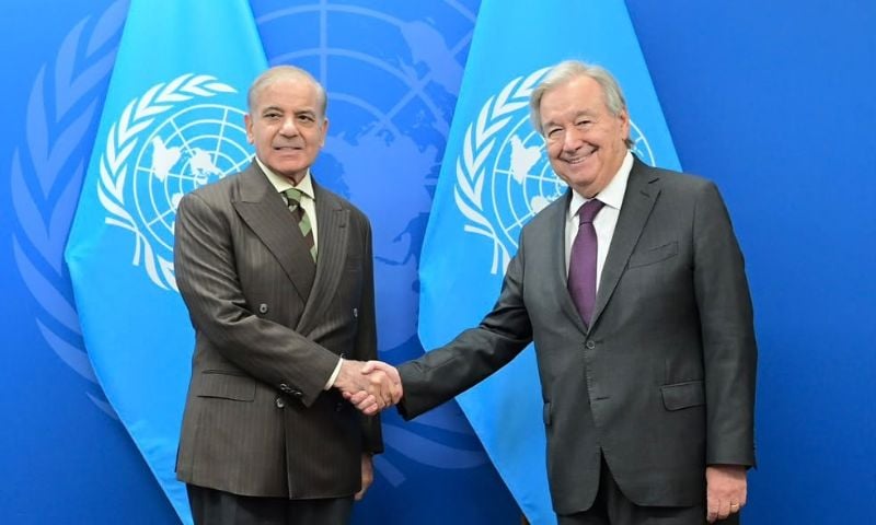 Shehbaz UN