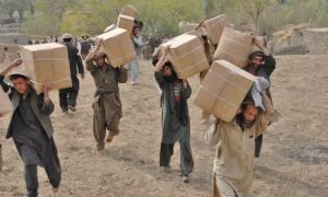 Taliban Regime Interference Disrupts Humanitarian Operations in Afghanistan: UN