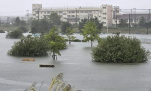Typhoon