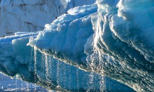 UN Climate