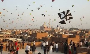 basant canva