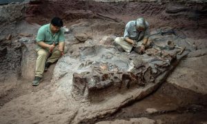 Thailand's 'Jurassic Park' Shines Light on Dinosaur Evolution